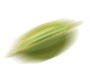 shape-img