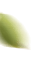 shape-img